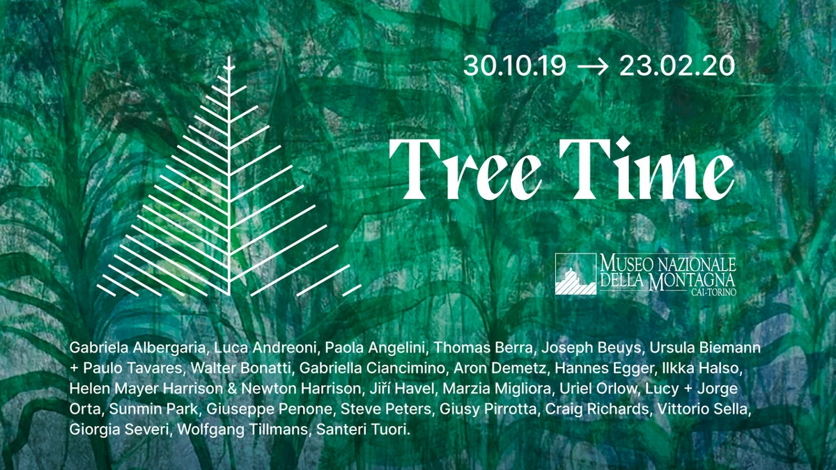 Tree Time